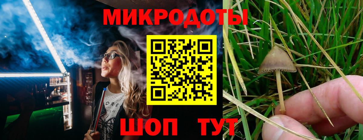 Галлюциногенные грибы GOLDEN TEACHER  Вход с VPN  Грозный 