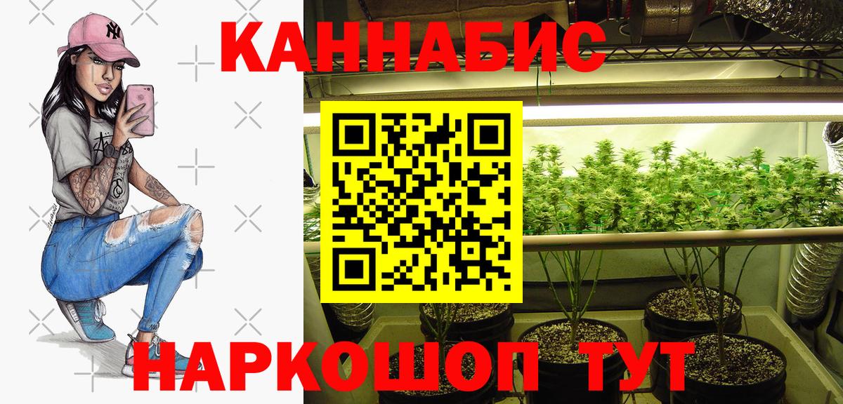 Марихуана марихуана Грозный
